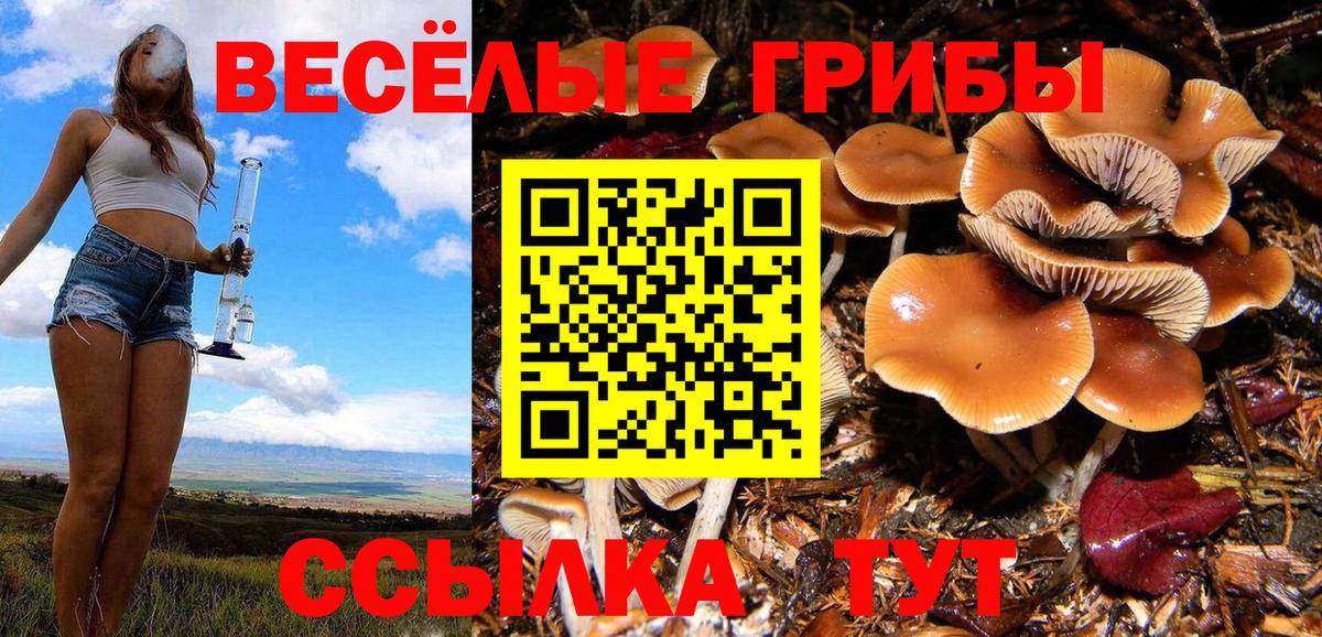 Псилоцибиновые грибы Magic Shrooms  Вход с VPN  Ялуторовск 